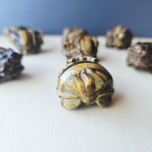 Tiger Eye Dragon Turtle | Steady Success