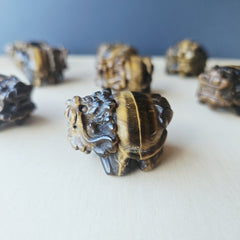 Tiger Eye Dragon Turtle | Steady Success