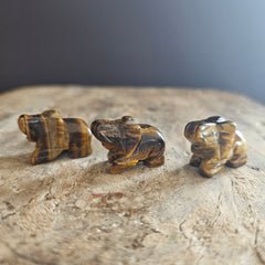 Tigers Eye | Mini Elephants