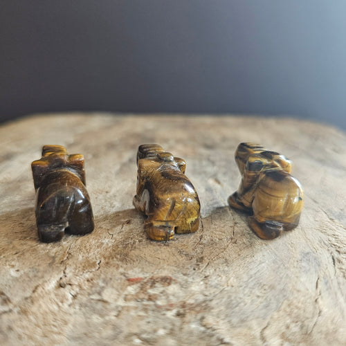 Tigers Eye | Mini Elephants