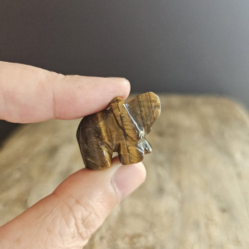 Tigers Eye | Mini Elephants