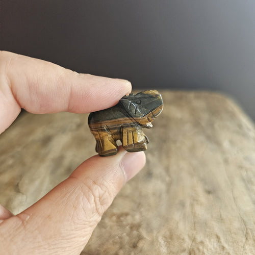 Tigers Eye | Mini Elephants