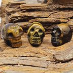 Tigers Eye | Mini Skulls