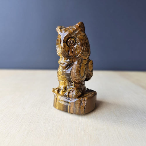 Tigers Eye Owl | The Golden Nightguard