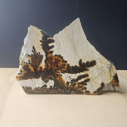 Utah Dendritic Limestone Freeform | Desert Passage