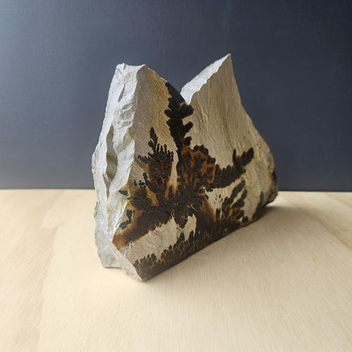 Utah Dendritic Limestone Freeform | Desert Passage