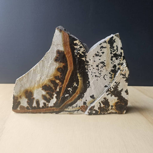 Utah Dendritic Limestone Freeform | Desert Passage