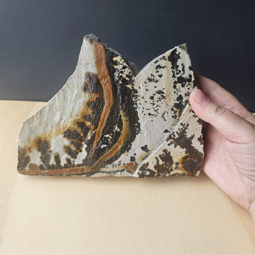 Utah Dendritic Limestone Freeform | Desert Passage