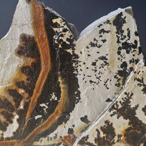 Utah Dendritic Limestone Freeform | Desert Passage