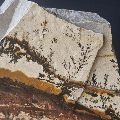 Utah Dendritic Limestone Freeform | Sundrift Hollow