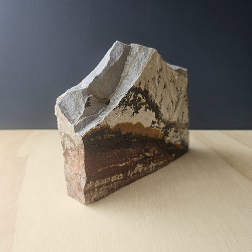 Utah Dendritic Limestone Freeform | Sundrift Hollow