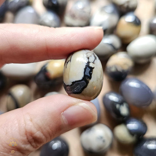 Volcanic Agate Tumbled Stones