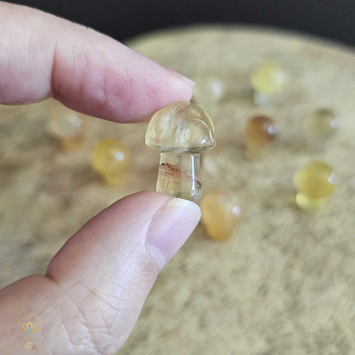 Yellow Fluorite Mini Mushrooms