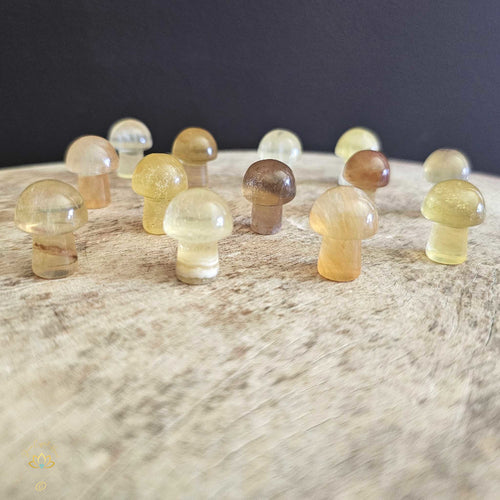 Yellow Fluorite Mini Mushrooms