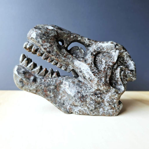 Yooperlite Dinosaur Skull | The Prehistoric Protector