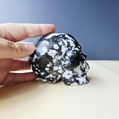 Zebra Jasper Skull | Spiritual Alignment