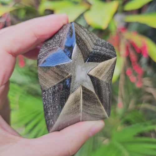 Gold Sheen Obsidian Star | Crown Of The Cosmos