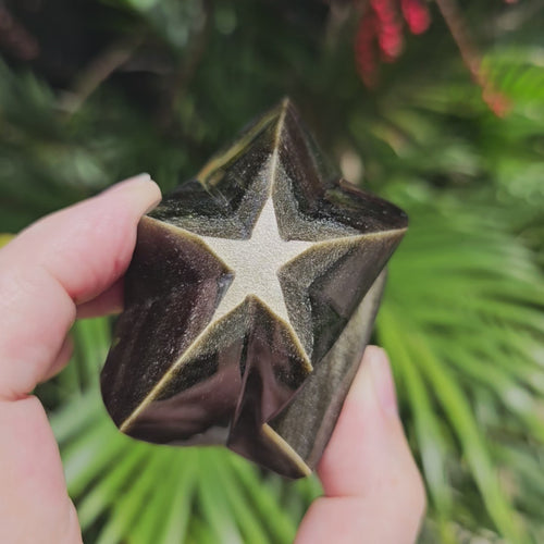 Gold Sheen Obsidian Star | Eclipse Star