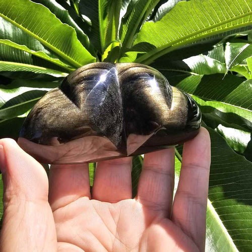 Gold Sheen Obsidian | Twin Heart 136gms