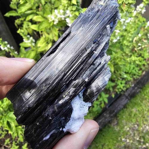 Aegirine Specimen | Cavern Of Clarity