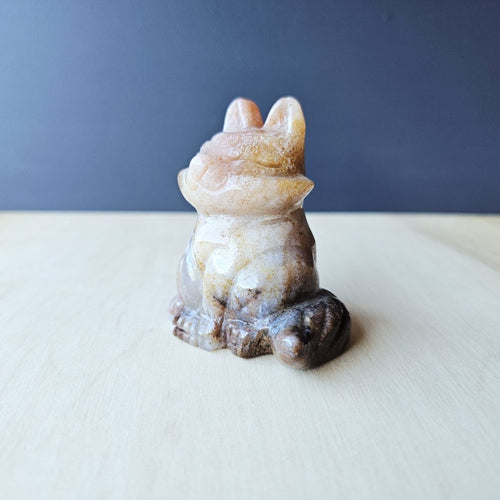 Agate Fox | Belladonna