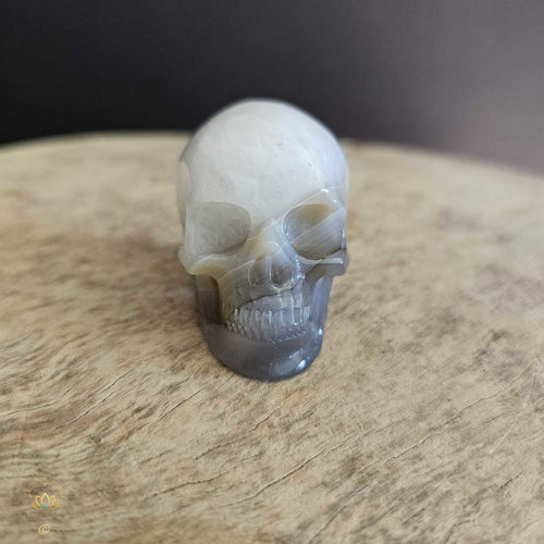 Agate Skull | Calming Companion