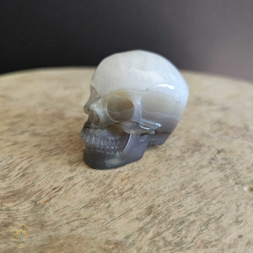 Agate Skull | Calming Companion