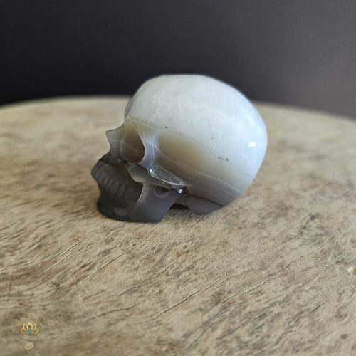 Agate Skull | Calming Companion