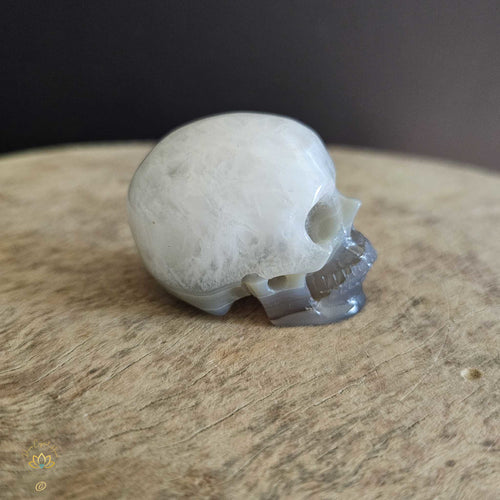 Agate Skull | Calming Companion