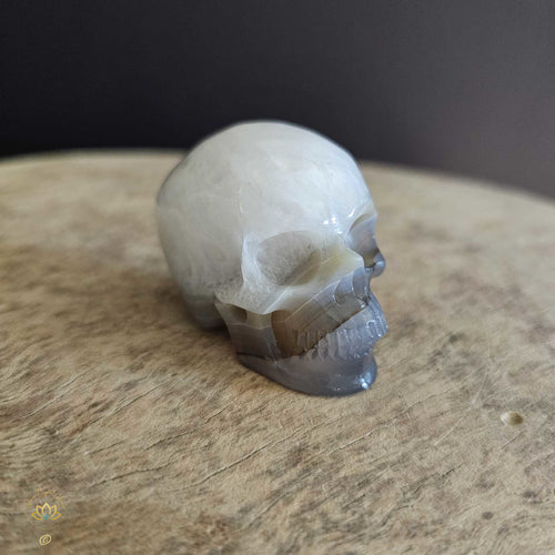 Agate Skull | Calming Companion