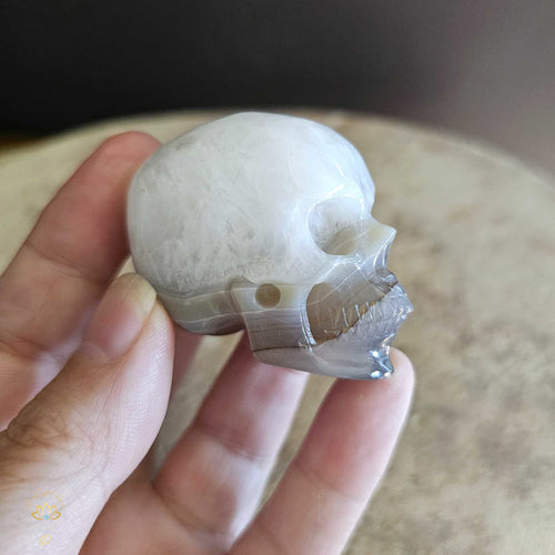 Agate Skull | Calming Companion