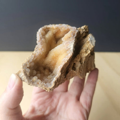 Agatised Coral Specimen | Tampa Drift 252gm