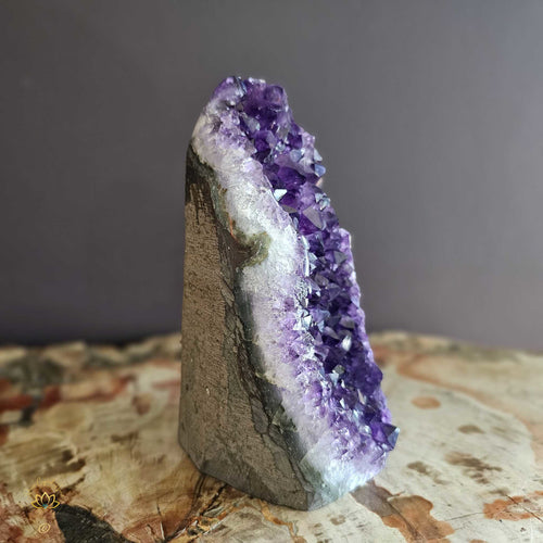 Amethyst | Cut Base Geode 1.2kgs