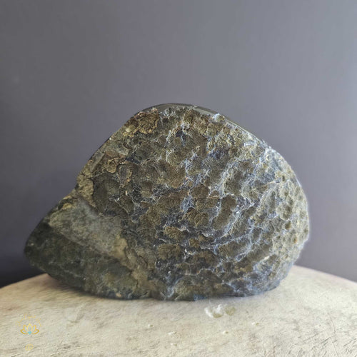 Amethyst | Flower Geode 1.38kgs