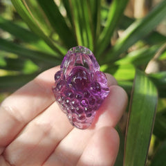 Amethyst Money Toads - A Grade | Violet Prosperity Guardians