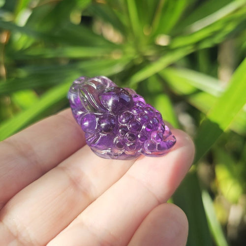 Amethyst Money Toads - A Grade | Violet Prosperity Guardians