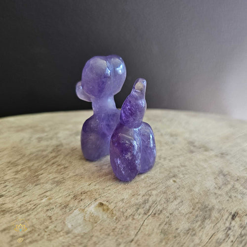 Amethyst Puffy Pooch "Armani"