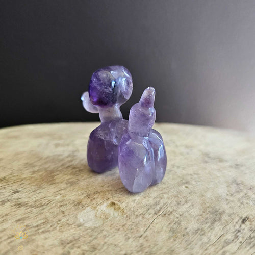 Amethyst Puffy Pooch "Purpoodle"