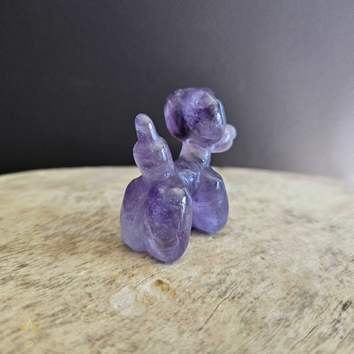 Amethyst Puffy Pooch "Purpoodle"