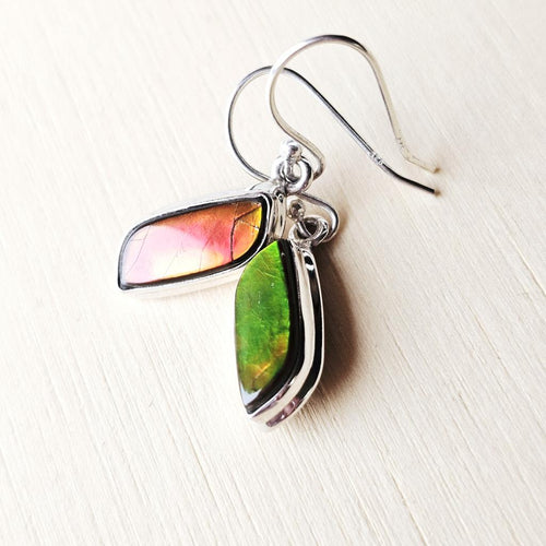 Ammolite Earrings | Fossil Fire