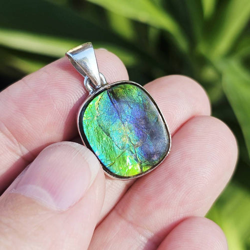 Ammolite Pendant | Ancient Radiance