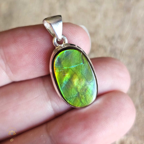 Ammolite Pendant | Ancient Wisdom