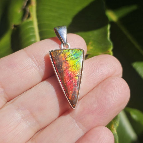 Ammolite Pendant | Ancient Wisdom