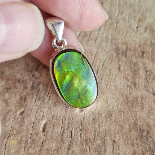 Ammolite Pendant | Ancient Wisdom