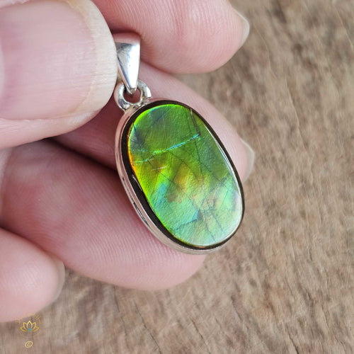 Ammolite Pendant | Ancient Wisdom