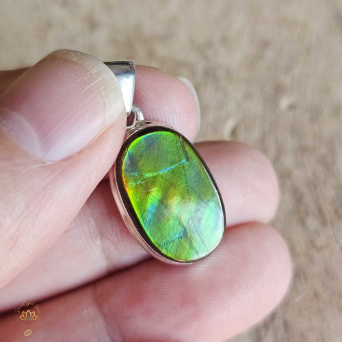 Ammolite Pendant | Ancient Wisdom