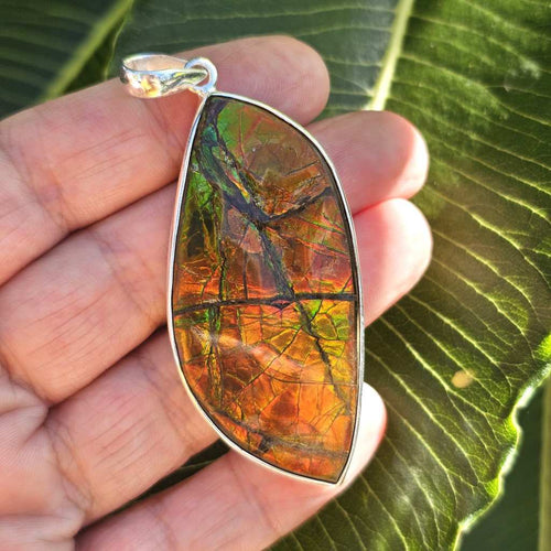 Ammolite Pendant | The Ancient Spectrum