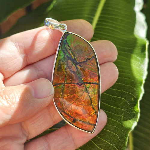 Ammolite Pendant | The Ancient Spectrum