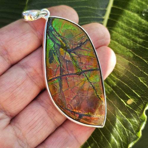 Ammolite Pendant | The Ancient Spectrum