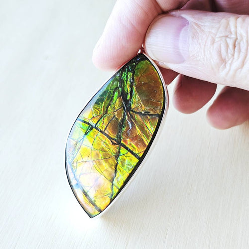 Ammolite Pendant | The Ancient Spectrum